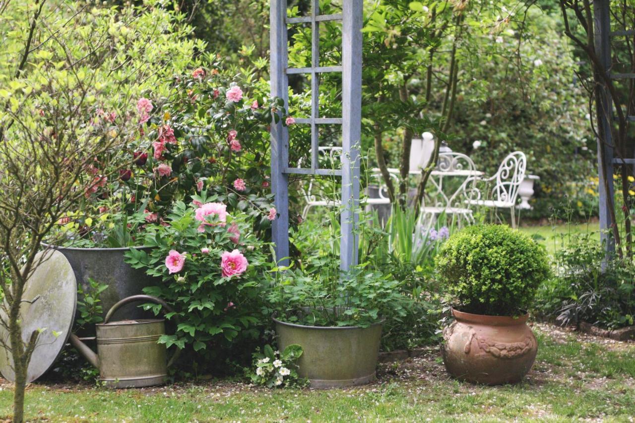 Le Bonheur A La Campagne Bed & Breakfast Lesmont Exterior photo